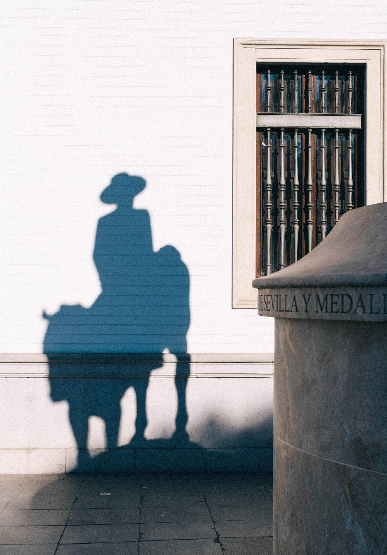Knight shadow